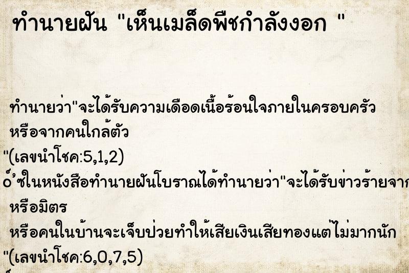 ทำนายฝัน เห็นเมล็ดพืชกำลังงอก 